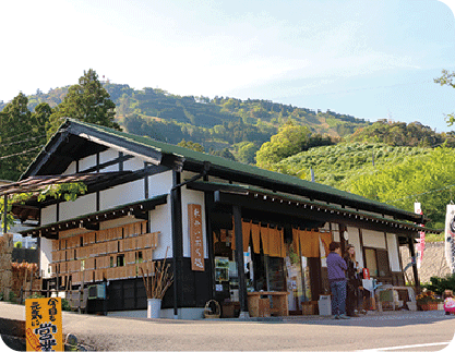 東山いっぷく処