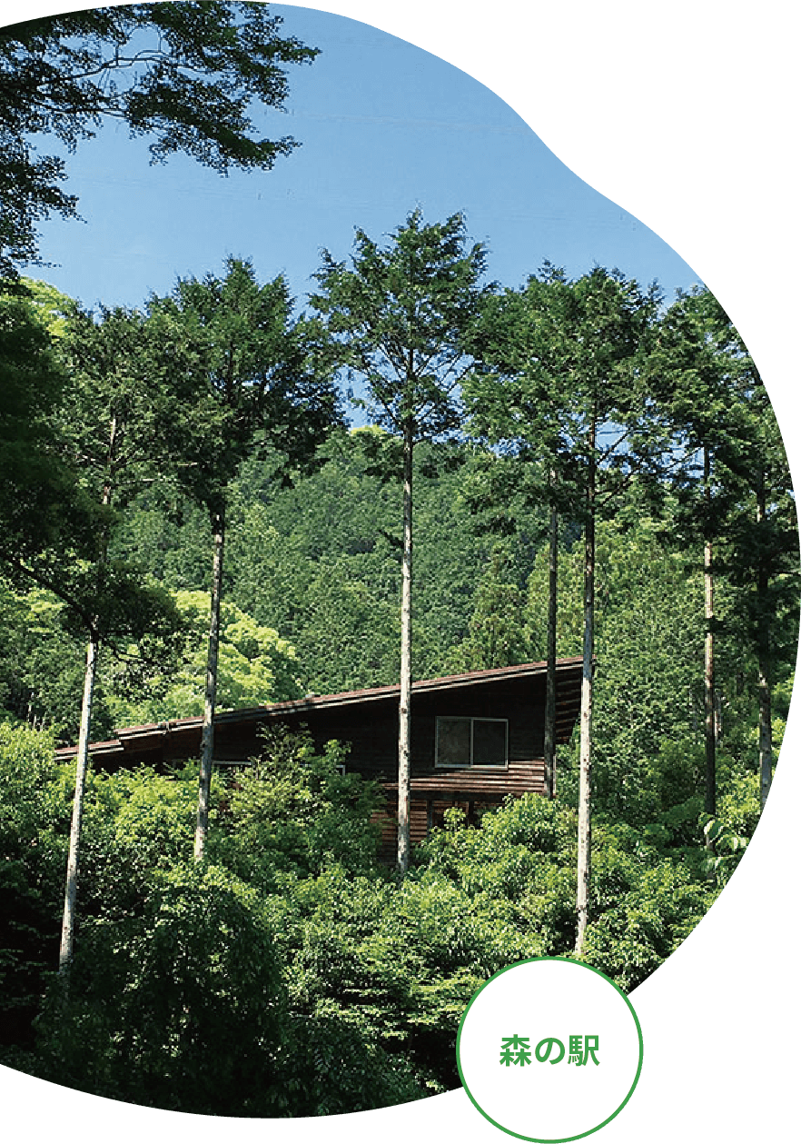 森の駅