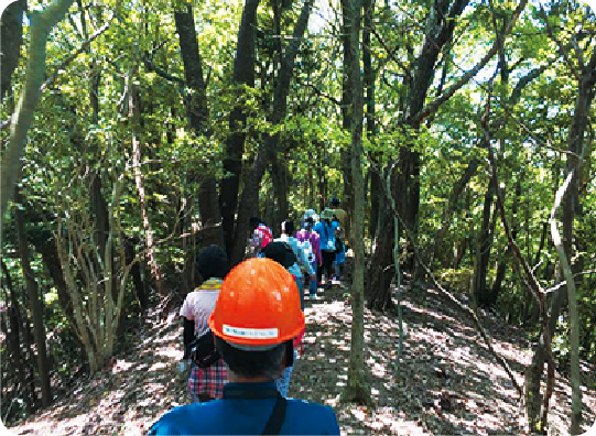 Mountain walk Forest bathing