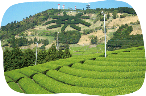 世界農業遺産とは？